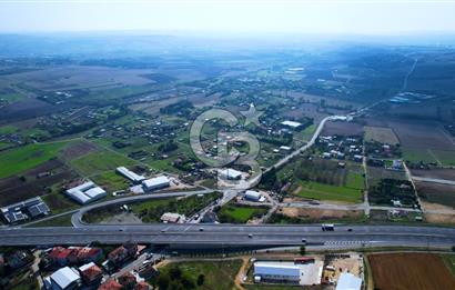 ÇATALCA KESTANELİKTE ANA YOLA SIFIR KONUMDA FIRSAT SATILIK TARLA