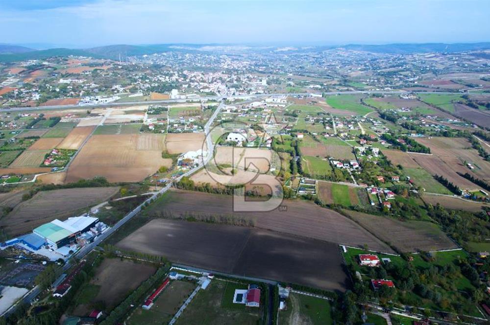 ÇATALCA KESTANELİKTE ANA YOLA SIFIR KONUMDA FIRSAT SATILIK TARLA