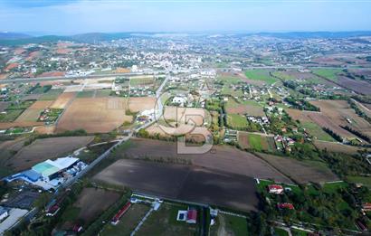 ÇATALCA KESTANELİKTE ANA YOLA SIFIR KONUMDA FIRSAT SATILIK TARLA