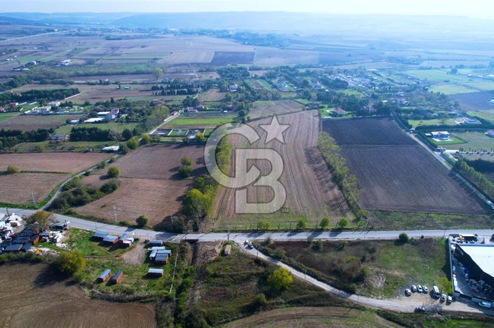 ÇATALCA KESTANELİKTE ANA YOLA SIFIR KONUMDA FIRSAT SATILIK TARLA