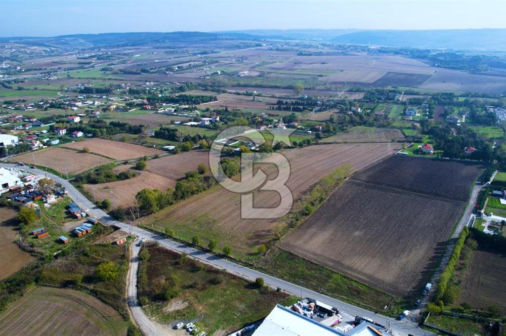 ÇATALCA KESTANELİKTE ANA YOLA SIFIR KONUMDA FIRSAT SATILIK TARLA