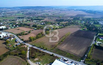 ÇATALCA KESTANELİKTE ANA YOLA SIFIR KONUMDA FIRSAT SATILIK TARLA