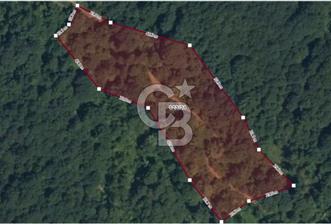GÖLCÜK İRŞADİYE'DE DOĞA İÇİNDE 6.300 m² SATILIK TARLA - 1 - 378809