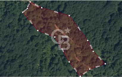GÖLCÜK İRŞADİYE'DE DOĞA İÇİNDE 6.300 m² SATILIK TARLA