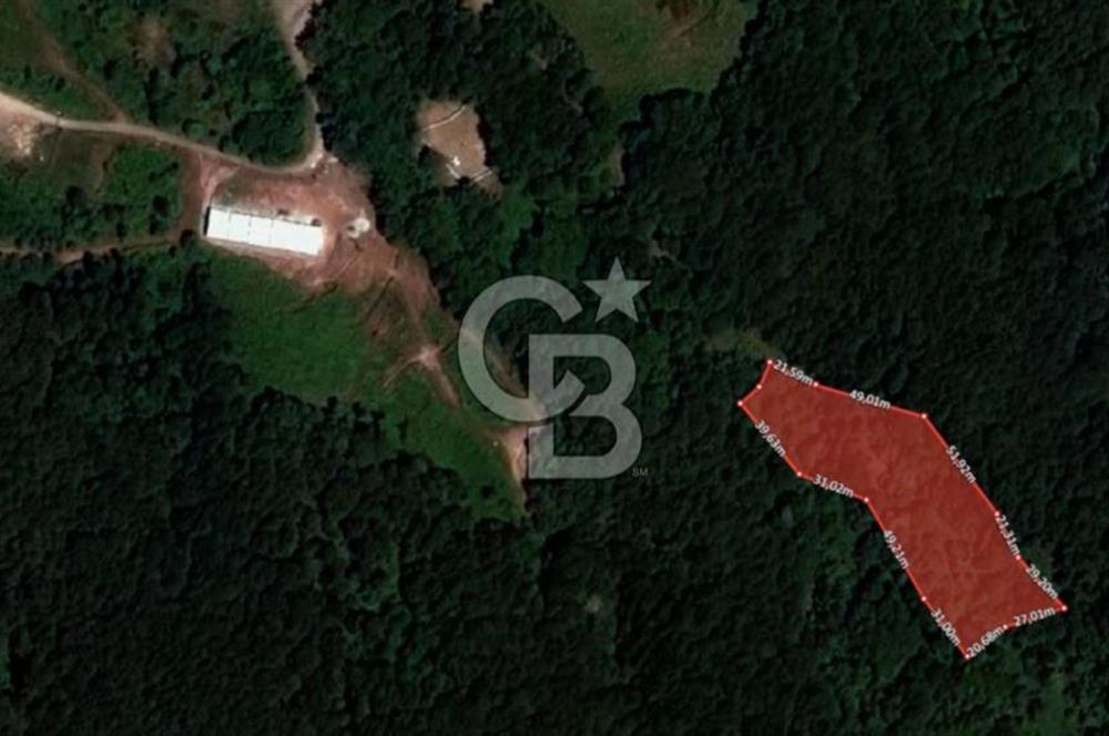 GÖLCÜK İRŞADİYE'DE DOĞA İÇİNDE 6.300 m² SATILIK TARLA