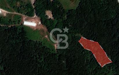 GÖLCÜK İRŞADİYE'DE DOĞA İÇİNDE 6.300 m² SATILIK TARLA