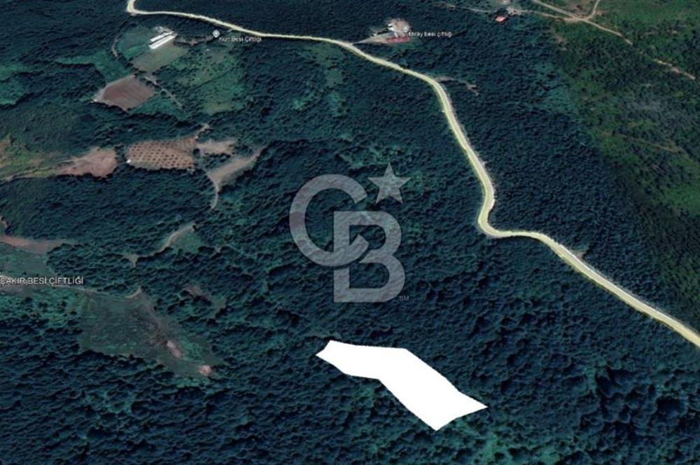 GÖLCÜK İRŞADİYE'DE DOĞA İÇİNDE 6.300 m² SATILIK TARLA