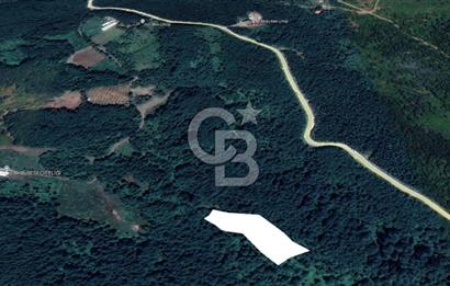 GÖLCÜK İRŞADİYE'DE DOĞA İÇİNDE 6.300 m² SATILIK TARLA