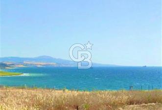 Şarköy Kızılcaterzi Satılık Müstakil Arsa Denize 450 m - 7 - 378830