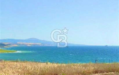 Şarköy Kızılcaterzi Satılık Müstakil Arsa Denize 450 m