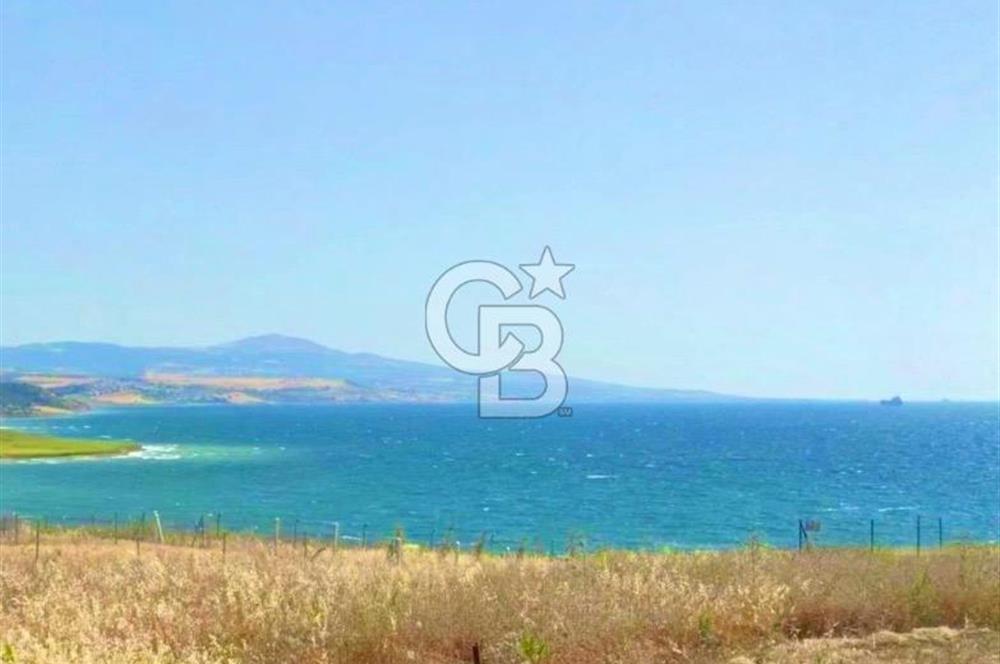 Şarköy Kızılcaterzi Satılık Müstakil Arsa Denize 450 m