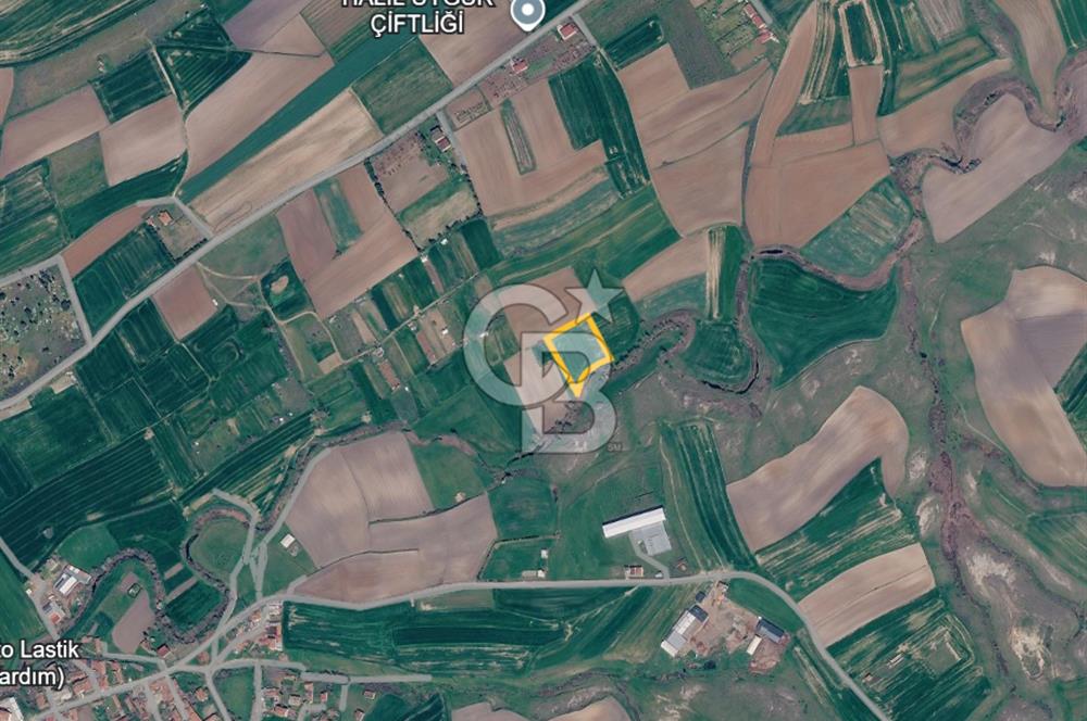 Tekirdağ Saray Göçerlerde 3879 m2 Satılık Fırsat Tarla!