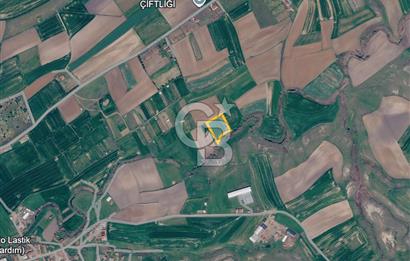 Tekirdağ Saray Göçerlerde 3879 m2 Satılık Fırsat Tarla!