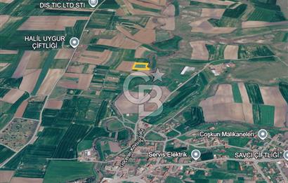 Tekirdağ Saray Göçerlerde 3879 m2 Satılık Fırsat Tarla!