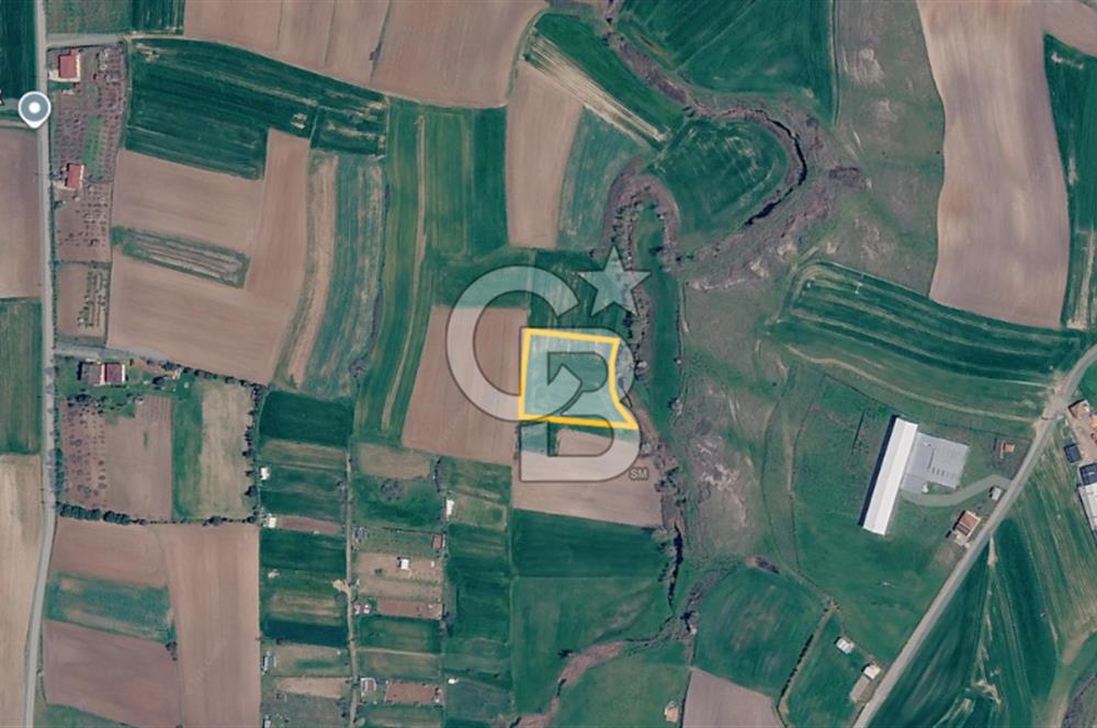 Tekirdağ Saray Göçerlerde 3879 m2 Satılık Fırsat Tarla!