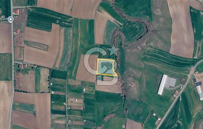 Tekirdağ Saray Göçerlerde 3879 m2 Satılık Fırsat Tarla!