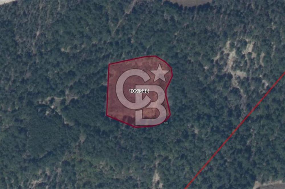 BİLECİK GÖLPAZARI AKÇAKAVAK KÖYÜ 6600m2 SATILIK TARLA