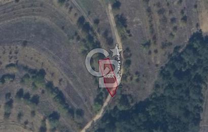BİLECİK GÖLPAZARI HAMİDİYE KÖYÜ’NDE SATILIK 323 m² BAHÇE