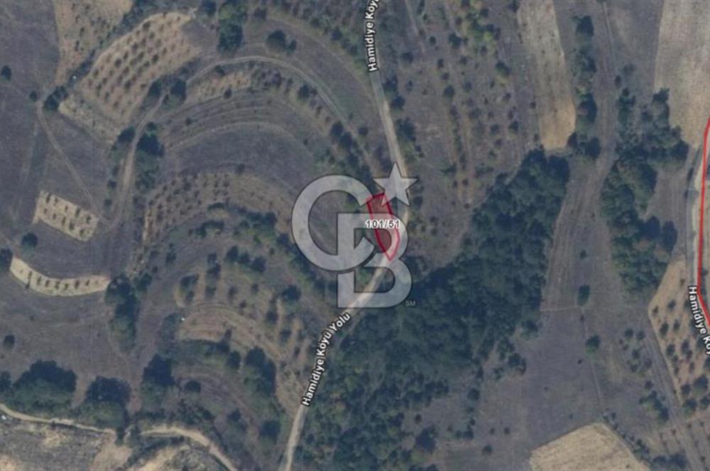 BİLECİK GÖLPAZARI HAMİDİYE KÖYÜ’NDE SATILIK 323 m² BAHÇE