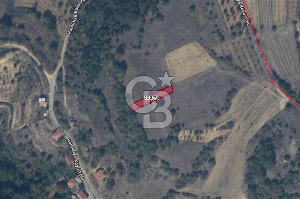 BİLECİK GÖLPAZARI HAMİDİYE KÖYÜ’NDE SATILIK 500 m² TARLA