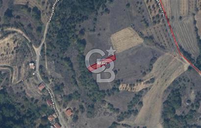 BİLECİK GÖLPAZARI HAMİDİYE KÖYÜ’NDE SATILIK 500 m² TARLA