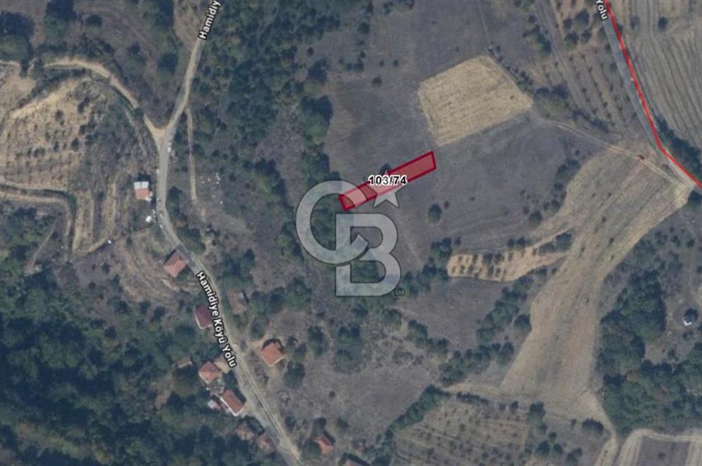 BİLECİK GÖLPAZARI HAMİDİYE KÖYÜ’NDE SATILIK 500 m² TARLA