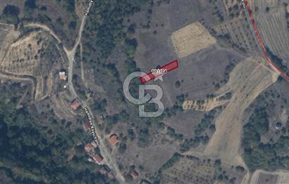 BİLECİK GÖLPAZARI HAMİDİYE KÖYÜ’NDE SATILIK 500 m² TARLA