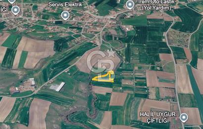 Tekirdağ Saray Göçerlerde 4051 m2 Satılık Fırsat Tarla!
