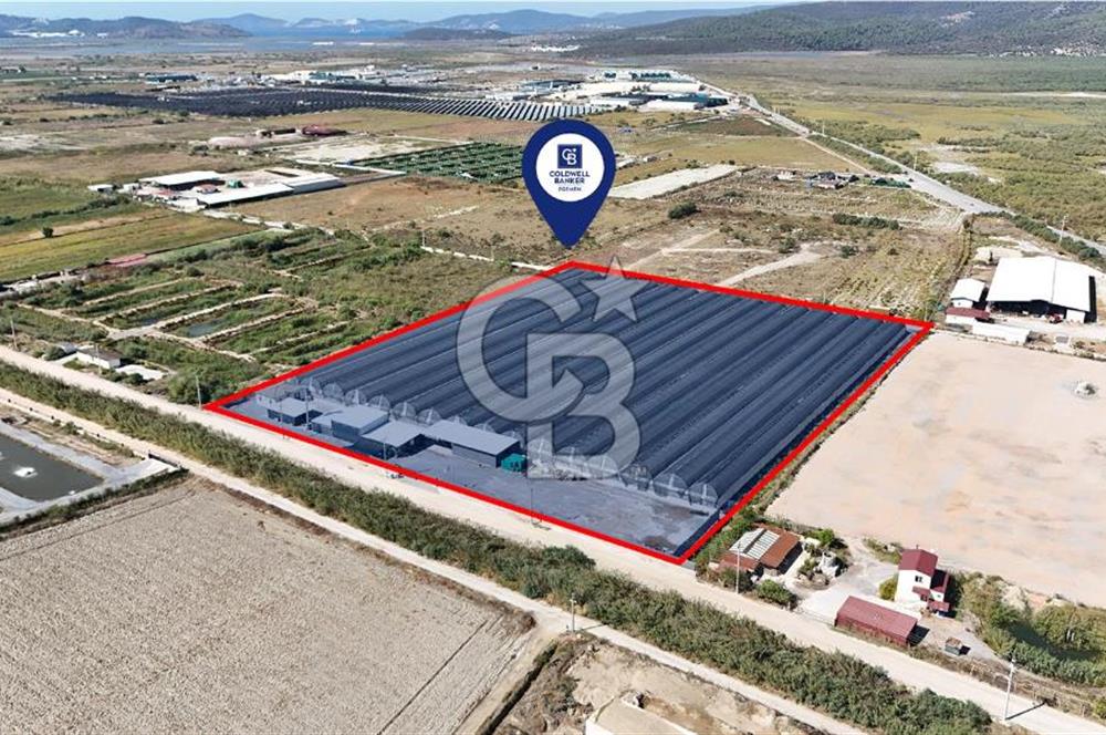 Muğla Milas’ta Satılık Çilek Serası ve Arazisi