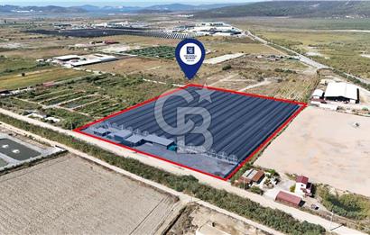 Muğla Milas’ta Satılık Çilek Serası ve Arazisi