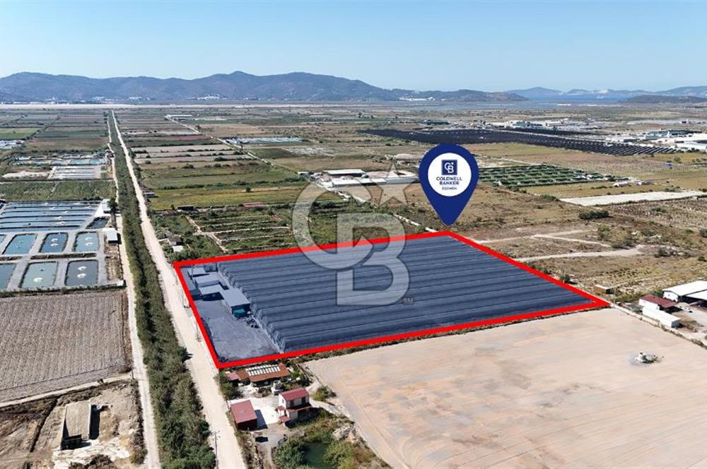 Muğla Milas’ta Satılık Çilek Serası ve Arazisi