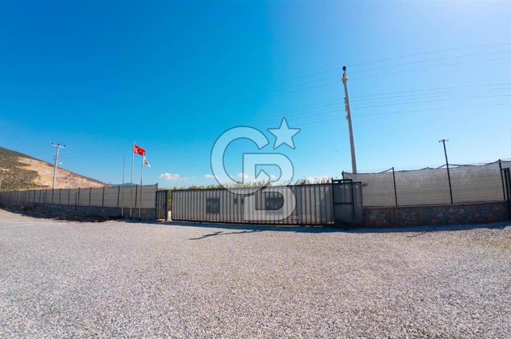 Muğla Milas’ta Satılık Çilek Serası ve Arazisi