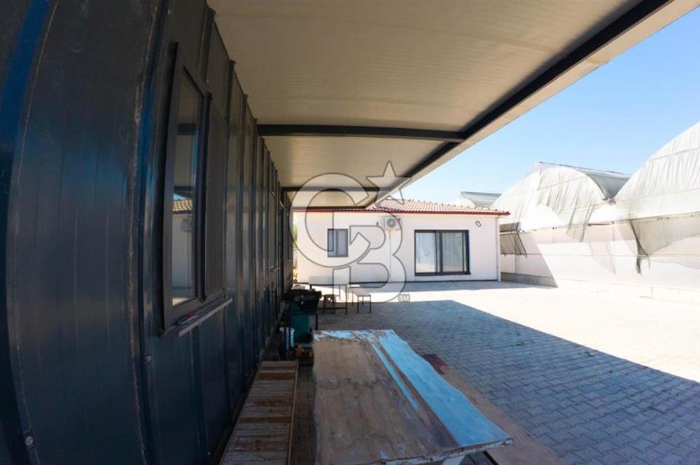 Muğla Milas’ta Satılık Çilek Serası ve Arazisi