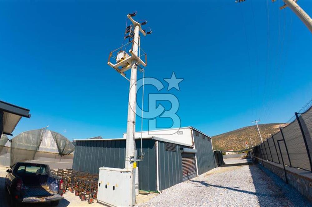 Muğla Milas’ta Satılık Çilek Serası ve Arazisi