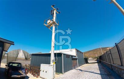 Muğla Milas’ta Satılık Çilek Serası ve Arazisi