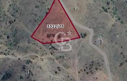 AKYURT / AHMET ADİL MAH'DE KÖK TAPU UYGUN FİYAT SATILIK TARLA