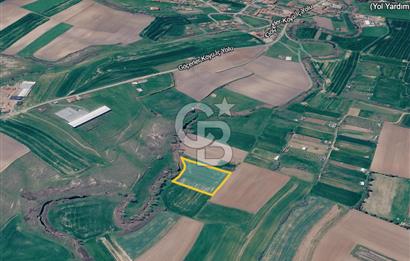 Tekirdağ Saray Göçerlerde 3879 m2 Satılık Fırsat Tarla!