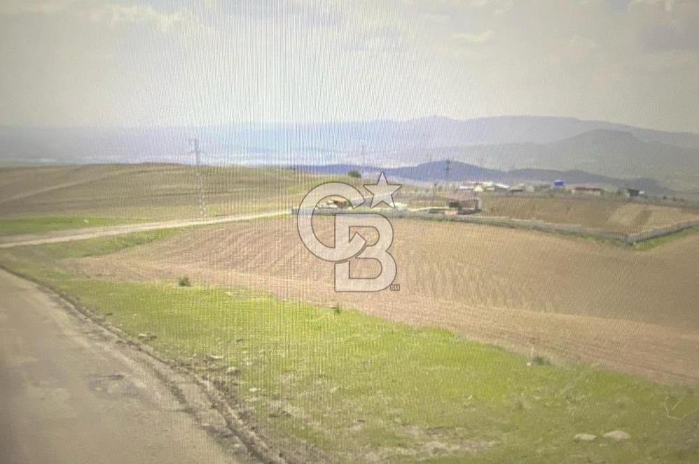 YAKUPABDAL DA 4,5 DÖNÜM YATIRIMLIK KELEPİR TARLA