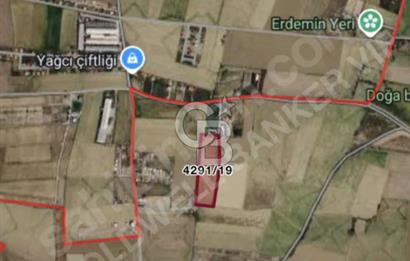 Akyurt Kalaba Bozyer'de 4917 m2 Ova İçerisinde Satılık Tarla