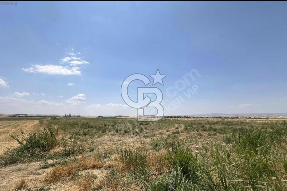 Akyurt Kalaba Bozyer'de 4917 m2 Ova İçerisinde Satılık Tarla