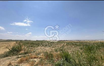 Akyurt Kalaba Bozyer'de 4917 m2 Ova İçerisinde Satılık Tarla