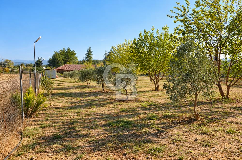 Doğayla Baş Başa, Konforla iç içe - Bodrum'a 1 Saat