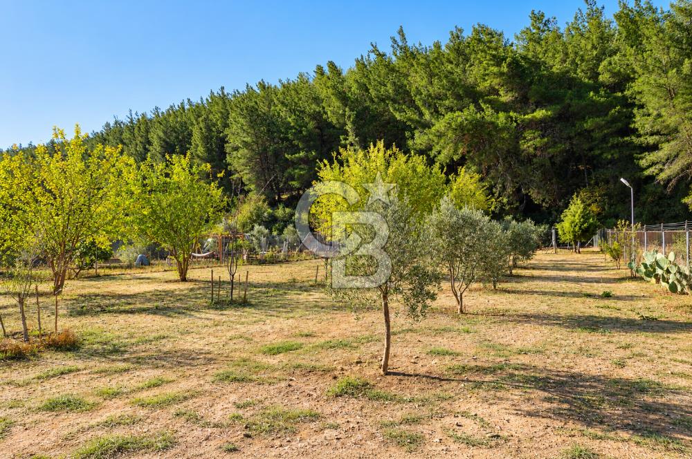 Doğayla Baş Başa, Konforla iç içe - Bodrum'a 1 Saat