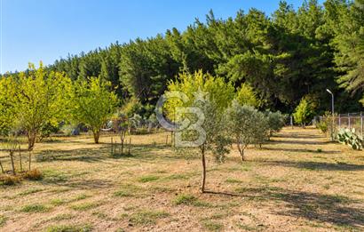 Doğayla Baş Başa, Konforla iç içe - Bodrum'a 1 Saat