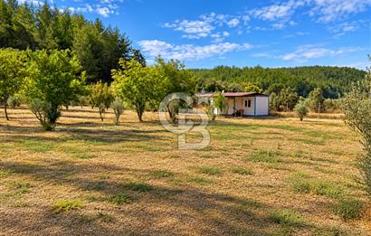 Doğayla Baş Başa, Konforla iç içe - Bodrum'a 1 Saat