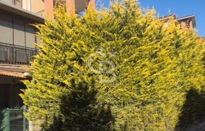 BAĞLICA MAHALLESİNDE 440M2 NET KULLANIMLI 5+2 TAM MÜSTAKİL VİLLA