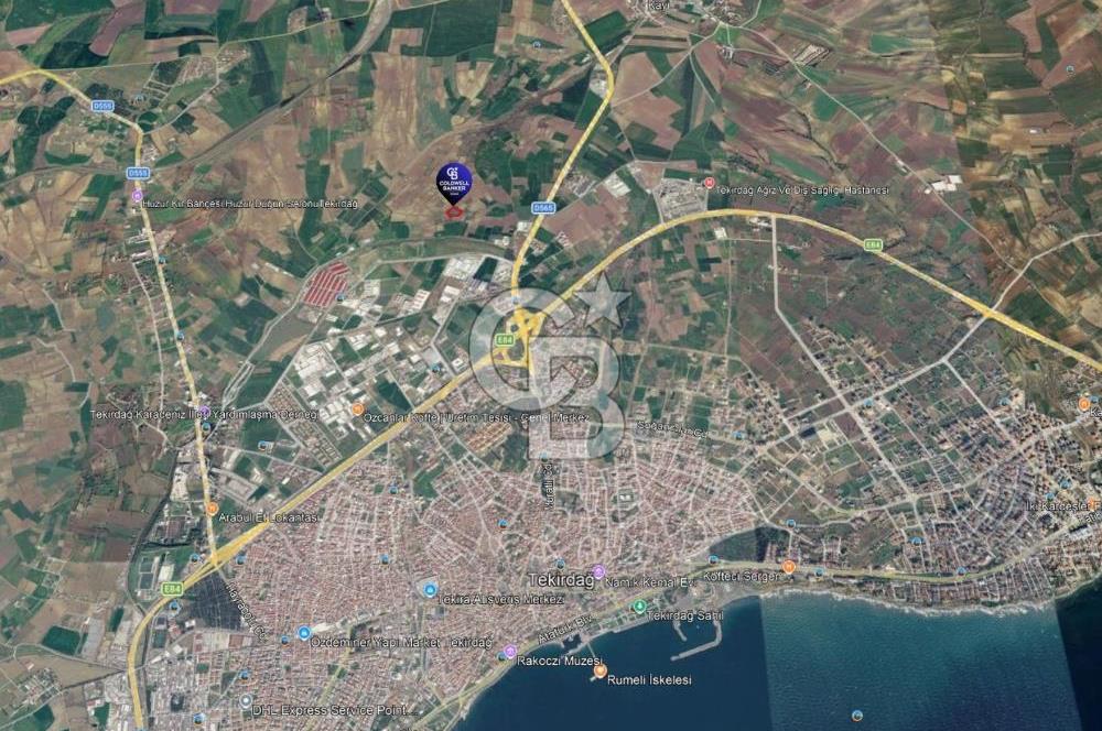 Tekirdağ Süleymanpaşa Zafer Mahallesi Satılık 6503 m² Arazi
