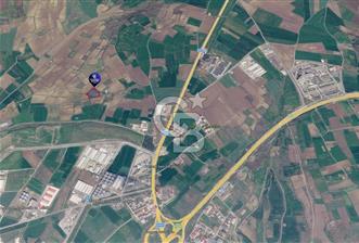 Tekirdağ Süleymanpaşa Zafer Mahallesi Satılık 6503 m² Arazi - 1 - 379241
