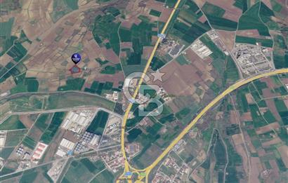 Tekirdağ Süleymanpaşa Zafer Mahallesi Satılık 6503 m² Arazi