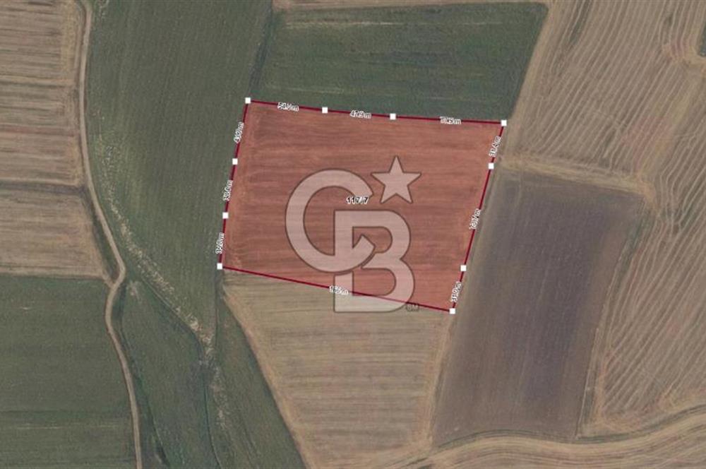 Tekirdağ Hayrabolu Çene Mahallesi Satılık 21.581,08m² Tarla